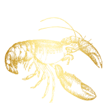 Vận Chuyển Miễn Phí